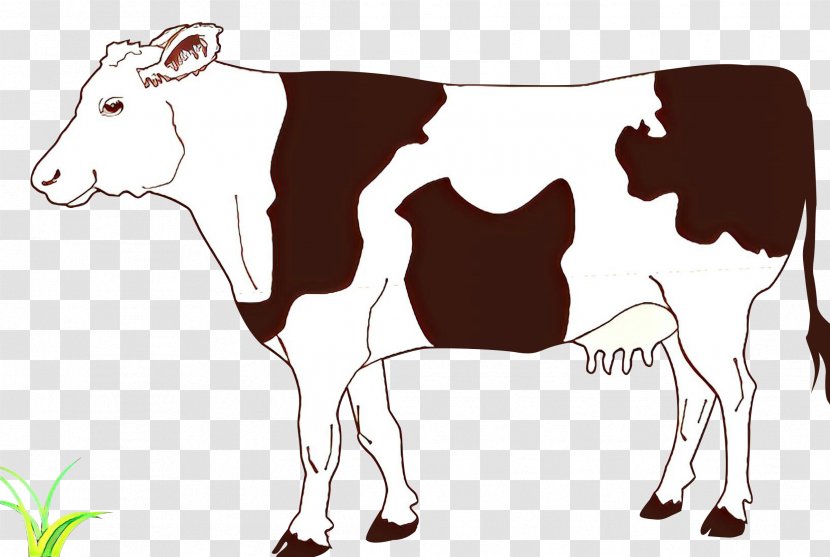 Clip Art Vector Graphics Ayrshire Cattle Drawing Beef - Animal Figure Transparent PNG