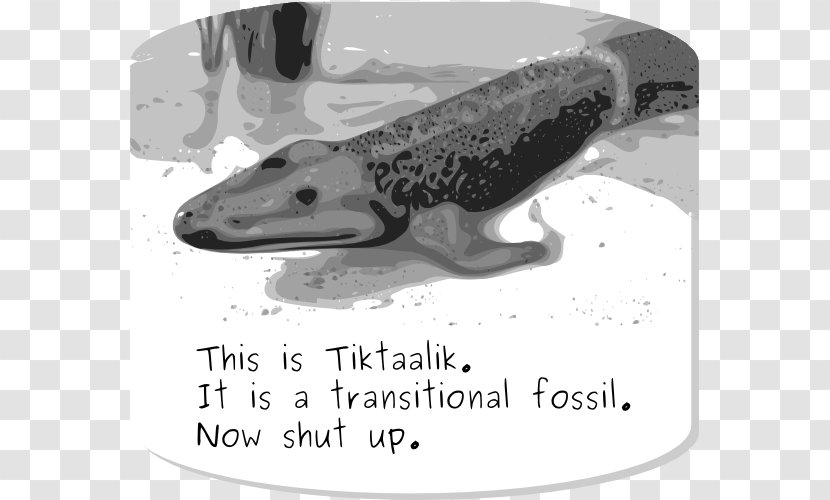 Tiktaalik Transitional Fossil Evolution Living - Black And White Transparent PNG
