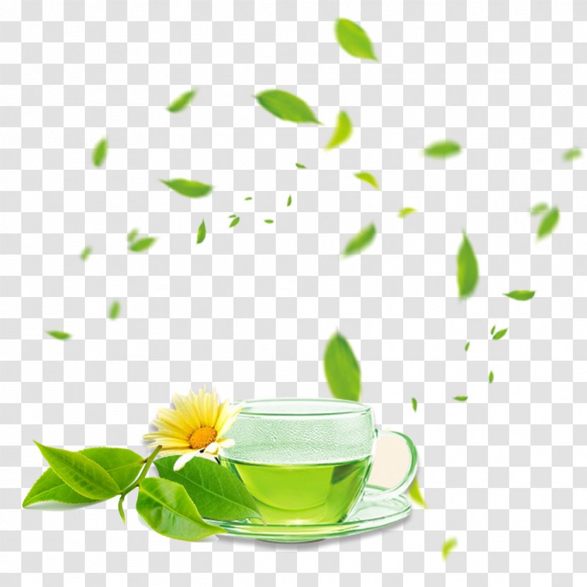 Green Tea Coffee Cup Herbalism Still Life Photography - New Market Transparent PNG