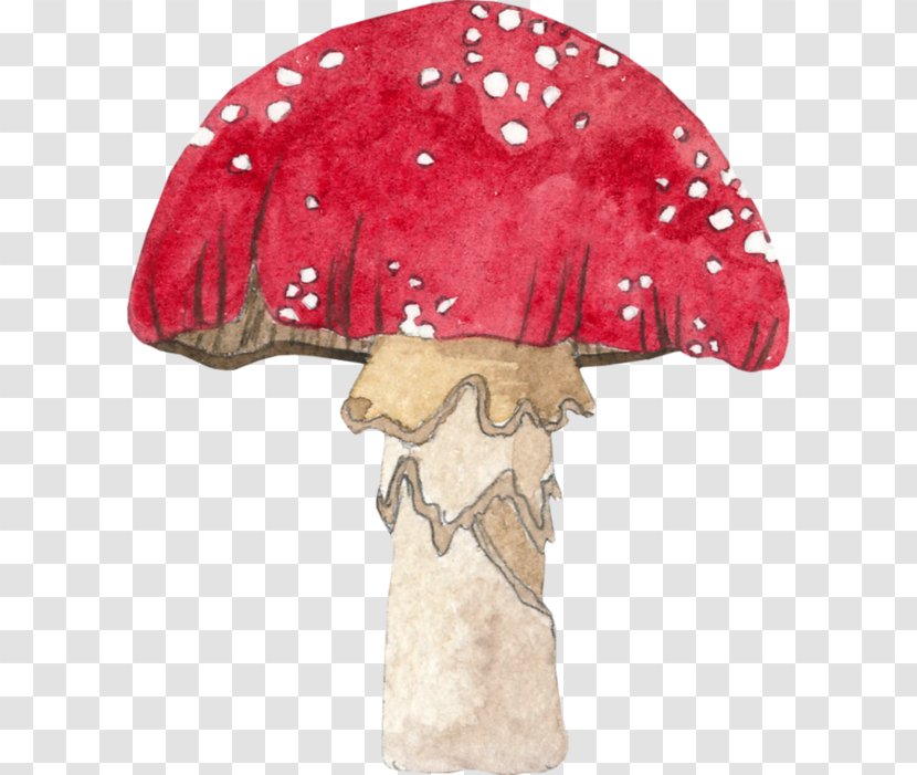 Mushroom Cartoon - Fungus - Agaric Transparent PNG