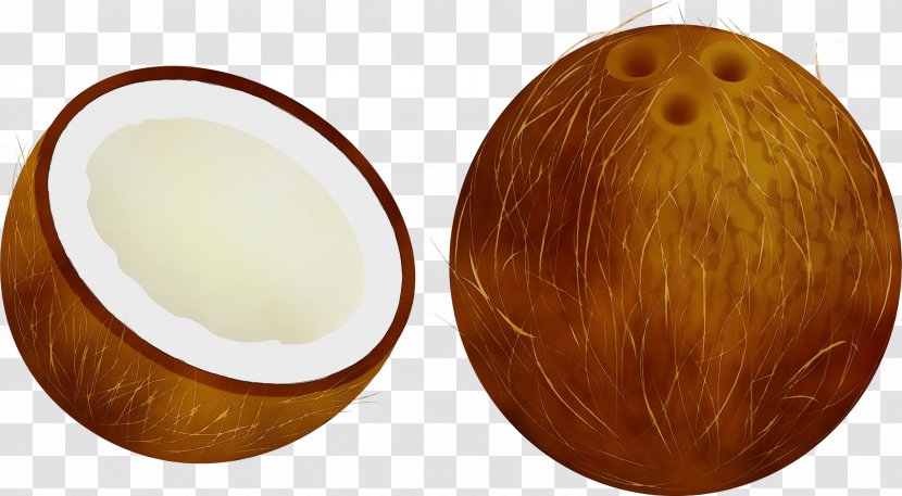 Coconut - Brown - Hair Coloring Wood Transparent PNG