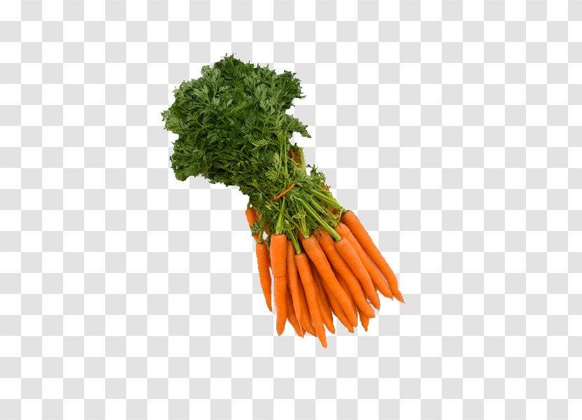 Juice Carrot Vegetarian Cuisine Vegetable Food - Carrots Transparent PNG