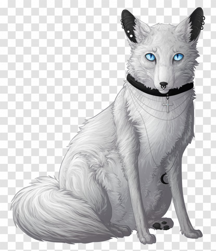 Whiskers Red Fox Cat Fur Drawing - Carnivoran Transparent PNG