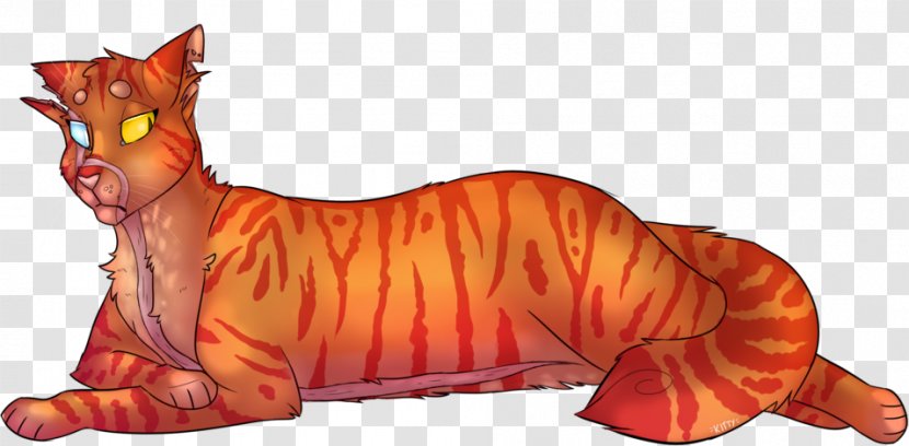 Whiskers Tiger Cat Illustration Cartoon - Like Mammal - Choke Frame Transparent PNG