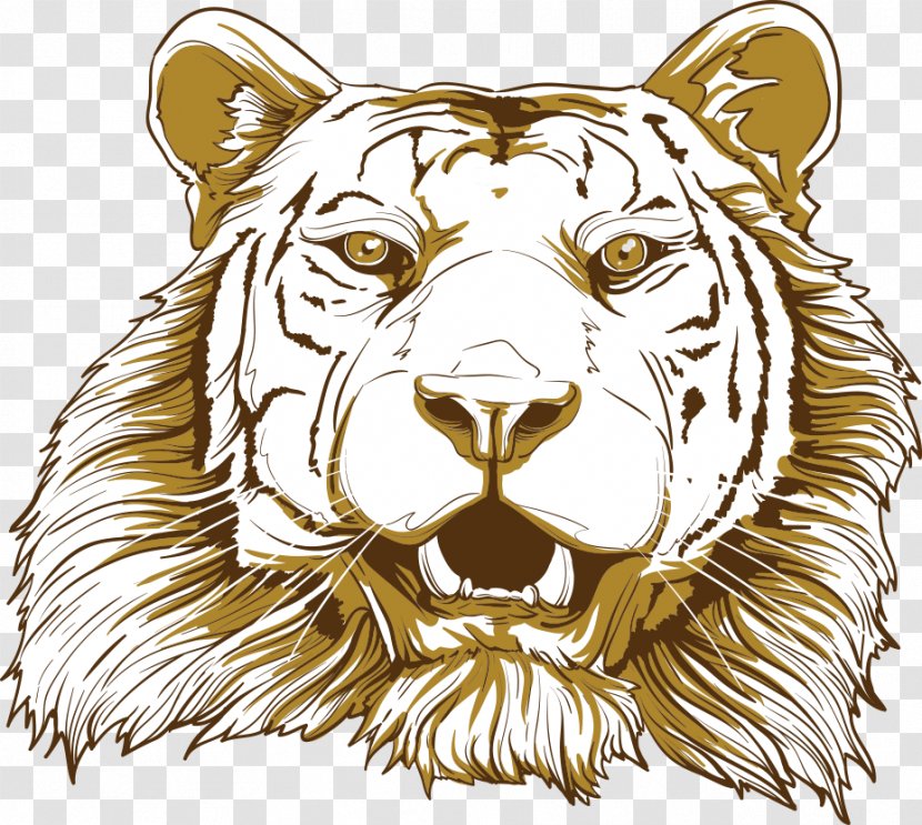 Tiger Big Cat Illustration - Terrestrial Animal - Vector Cartoon Transparent PNG