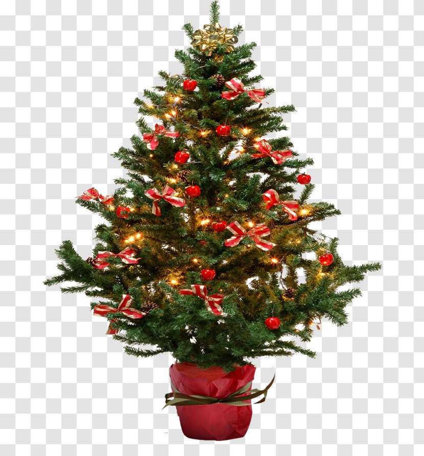 Christmas Tree Card - Fir - Fir-tree Image Transparent PNG