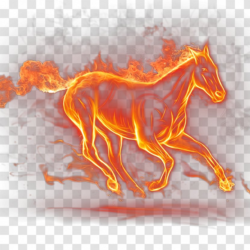 Flame Fire BMW Combustion - Illustration Transparent PNG