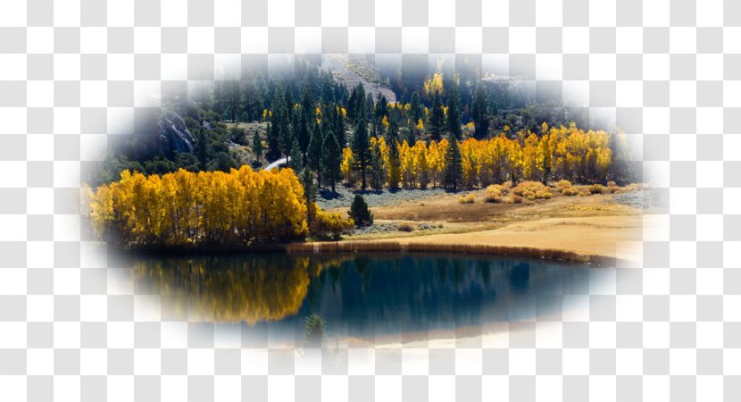 Desktop Wallpaper Lake Autumn High-definition Television - Yellow Transparent PNG