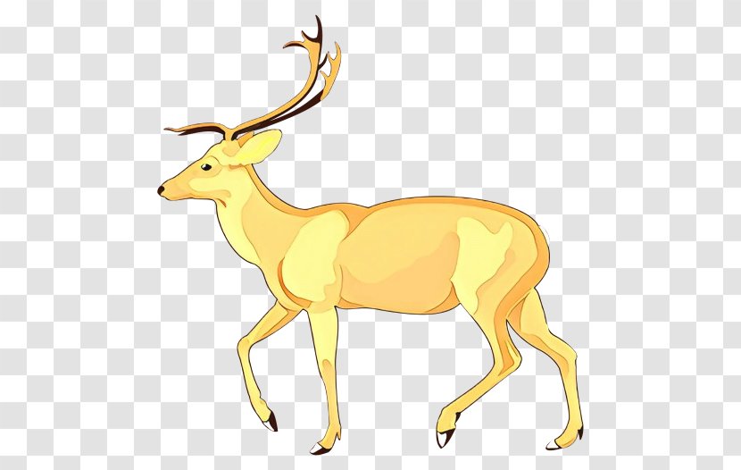 Reindeer - Wildlife - Fawn Animal Figure Transparent PNG