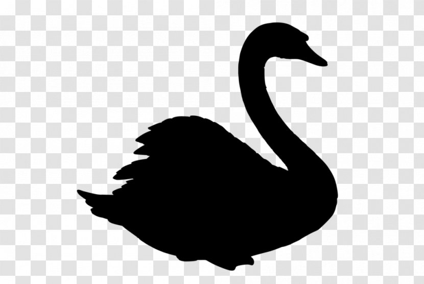 Duck Goose Swans Atlas Pro DJs Image - Ducks Geese And - Blackandwhite Transparent PNG