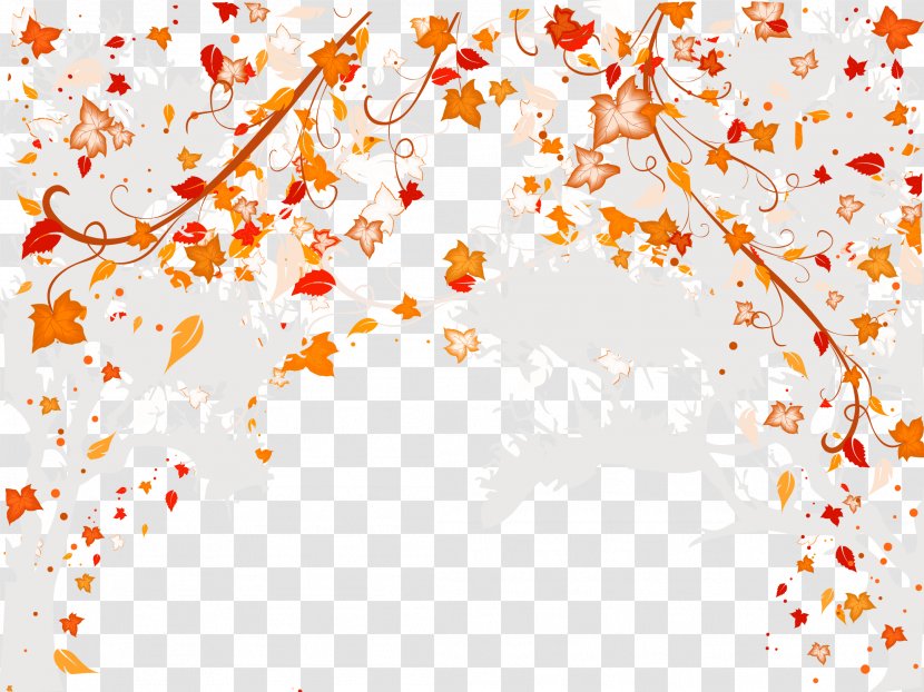 Wedding Invitation Picture Frame Download - Branch - Maple Leaf Elegant Background Transparent PNG