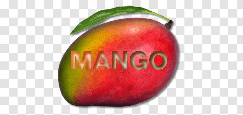Mango Fruit - Food Transparent PNG