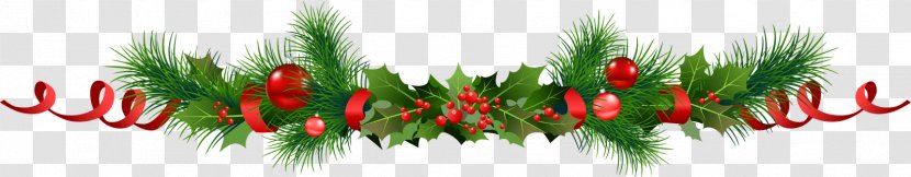 Christmas Gift Buffet United States Holiday - Plant Transparent PNG