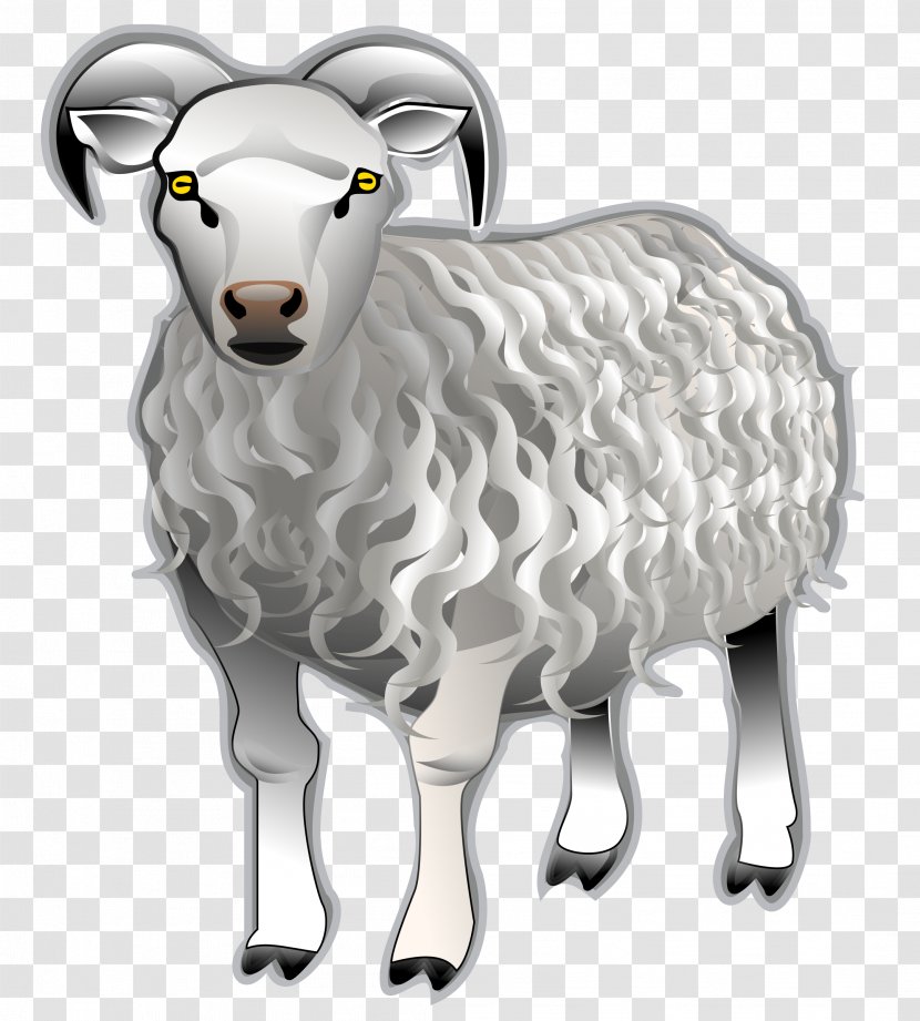 Bighorn Sheep Clip Art - Horn Transparent PNG