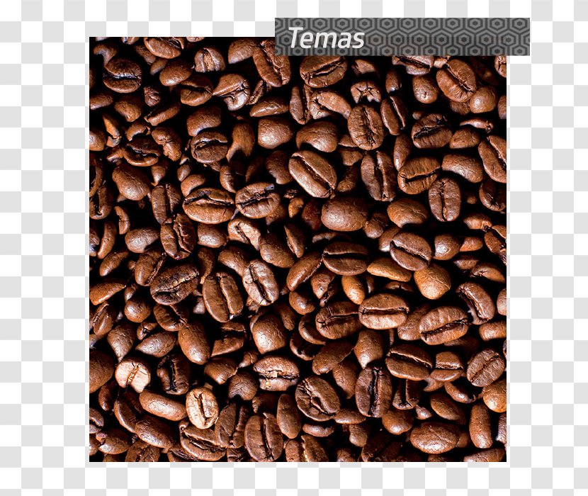 Wallpaper Coffee Mural Fototapet - Canvas Print Transparent PNG