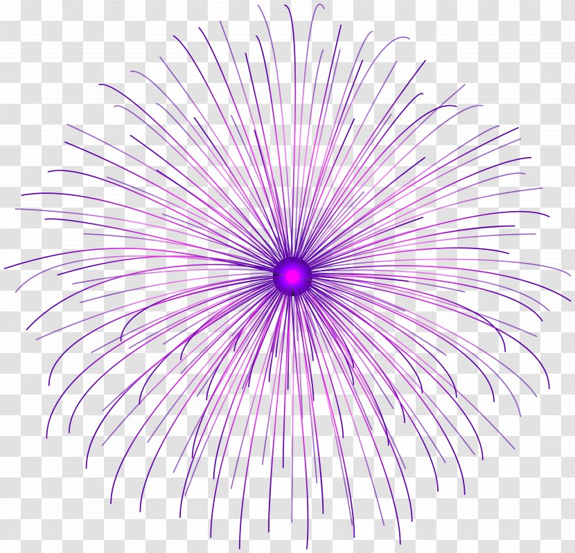 Adobe Fireworks Clip Art - Magenta - Purple Firework Circle Transparent PNG