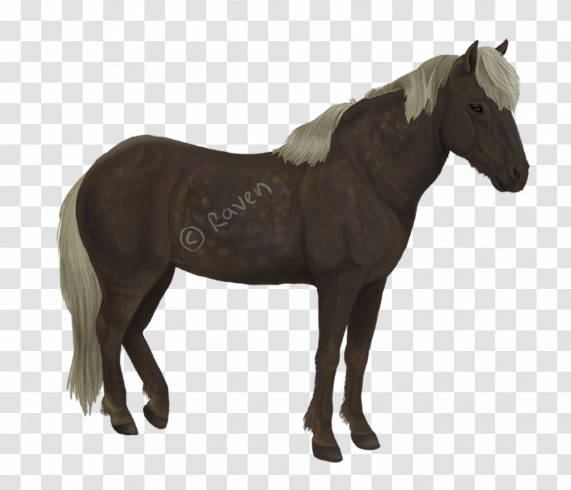 Shire Horse Percheron Foal Mare Toy - Stock Photography Transparent PNG