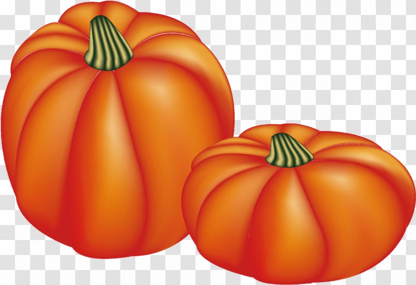 Pumpkin Gourd Winter Squash Tomato Calabaza - Commodity Transparent PNG