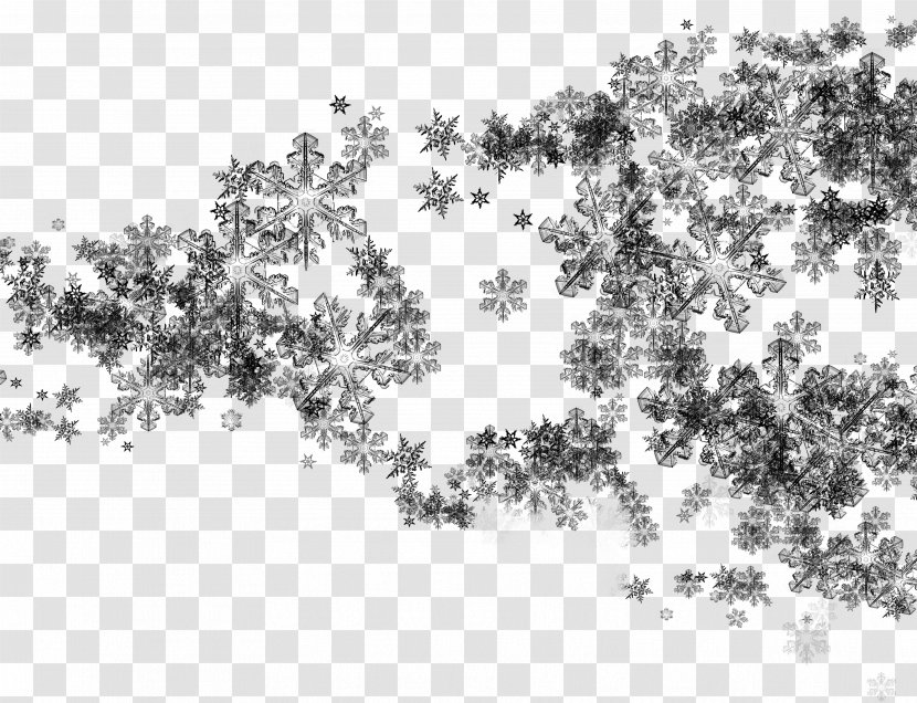 Photography Clip Art - Tree - Snow Transparent PNG