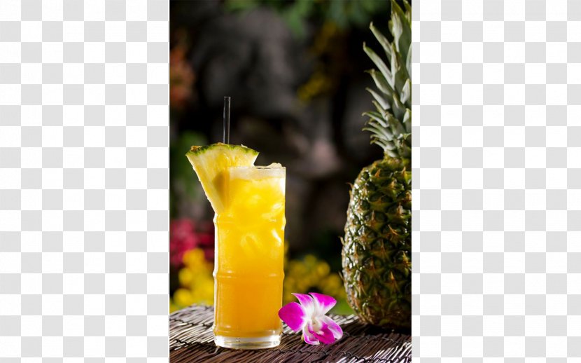 Cocktail Garnish Tiki Culture Mai Tai Rum Transparent PNG