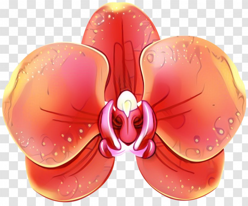 Pink Flower Cartoon - Moth Orchid - Cattleya Ear Transparent PNG