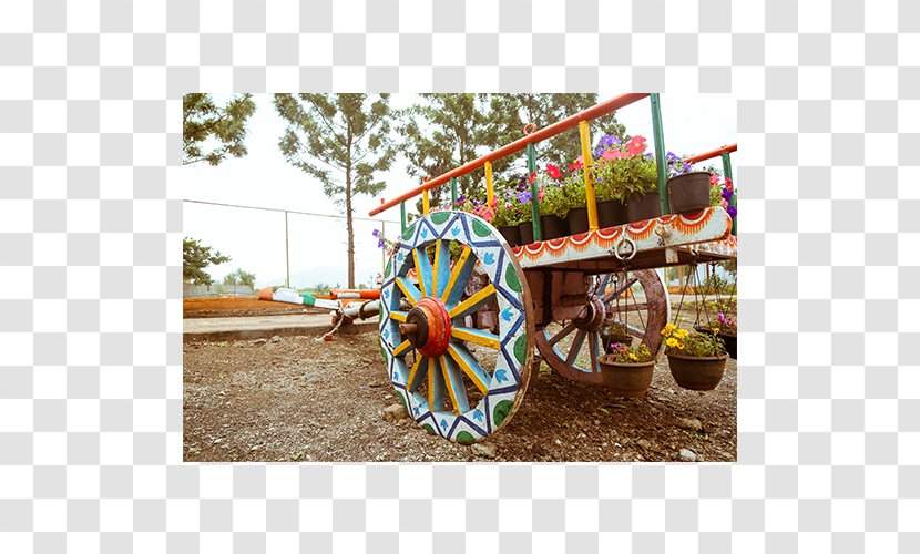 Vehicle - Wheelbarrow Flower Transparent PNG