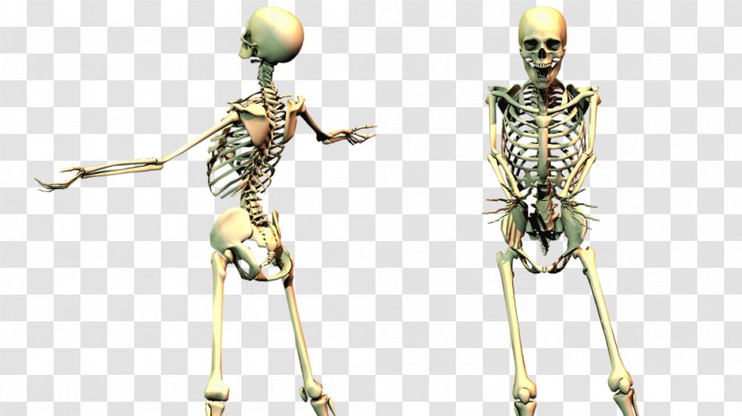 Jump Scare Skeleton Clip Art - Human Transparent PNG