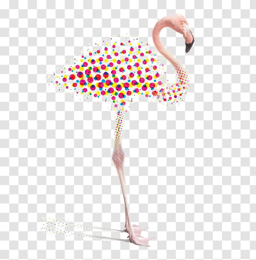 Graphic Design Flamingo Illustration - Pink - Creative Flamingos Transparent PNG