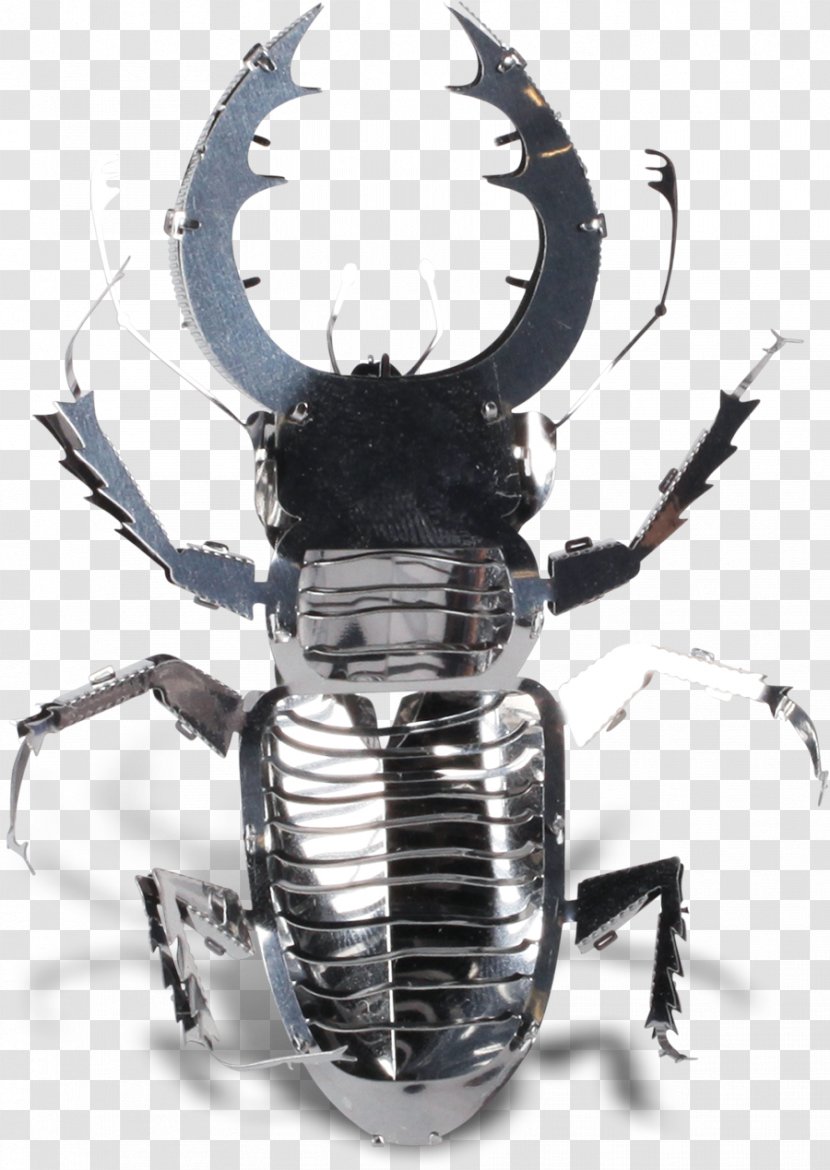 Stag Beetle Hercules Metal Rhinoceros Beetles - Insect Transparent PNG