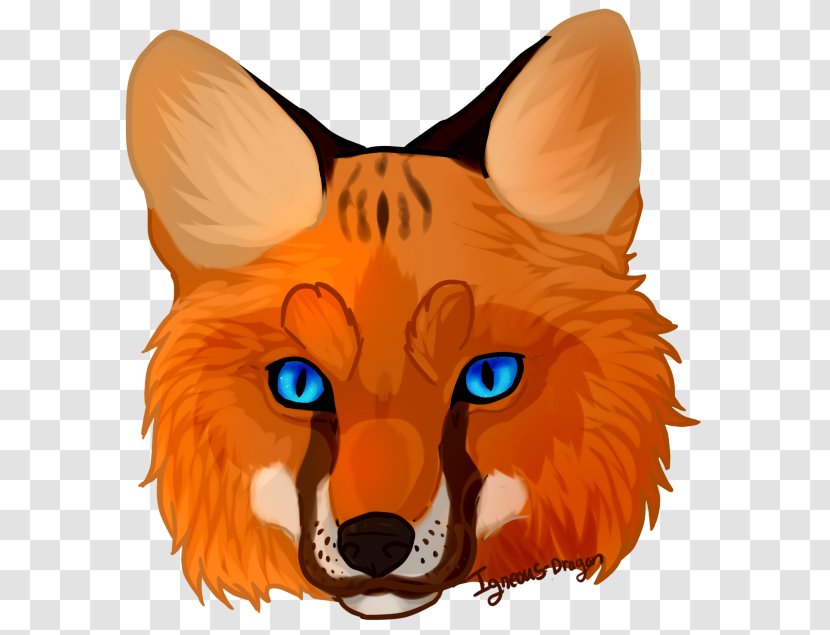 Red Fox Whiskers Clip Art - Orange - Face Cliparts Transparent PNG