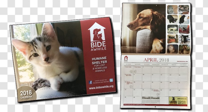 Cat Animal Shelter Pet Bide Awhile - Calendar Transparent PNG