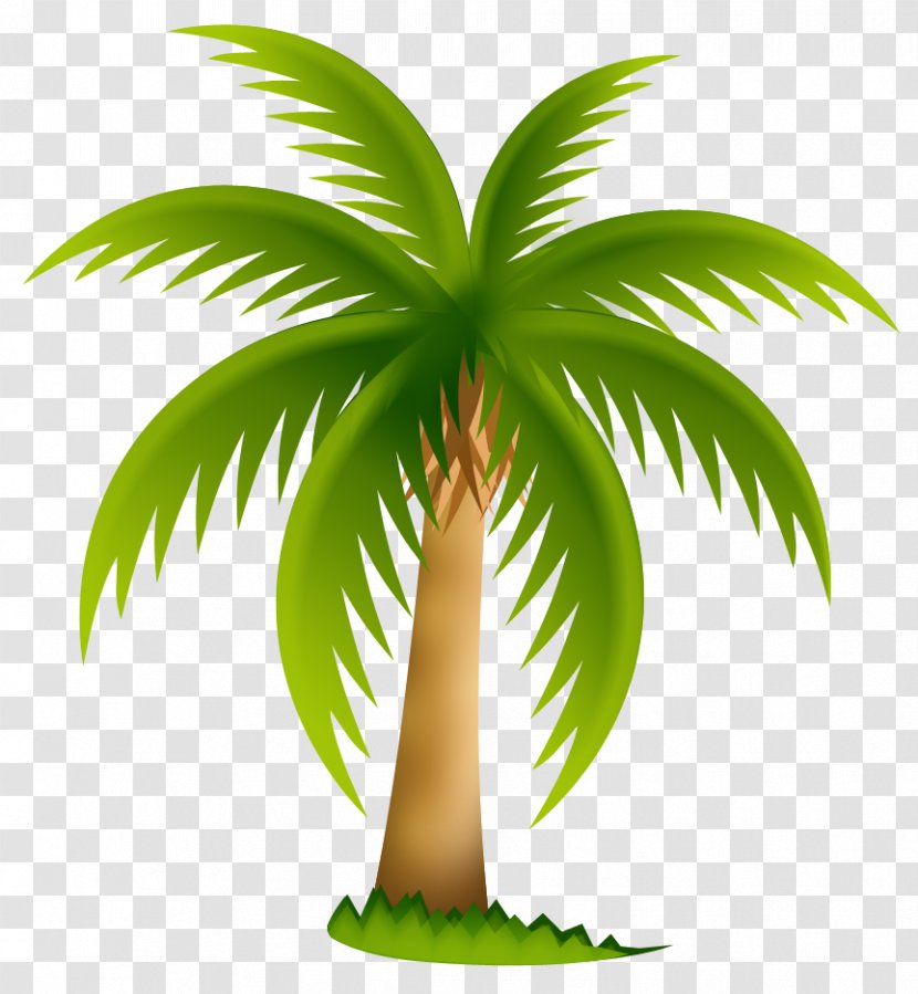Arecaceae Date Palm Sabal Clip Art - Tree - Hemp Transparent PNG