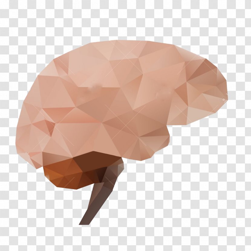 Royalty-free Drawing - Polygon - Warming Up The Spleen And Kidney Transparent PNG