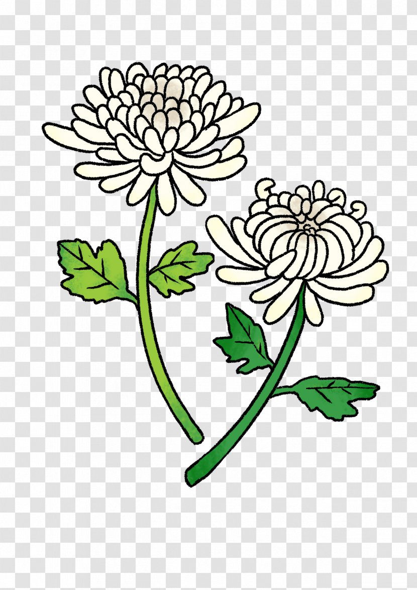 Floral Design Cut Flowers Oxeye Daisy Chrysanthemum Clip Art - Leaf - One On Transparent PNG