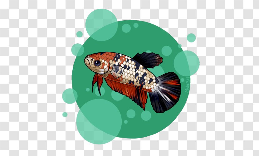 Koi Fish - Organism Transparent PNG