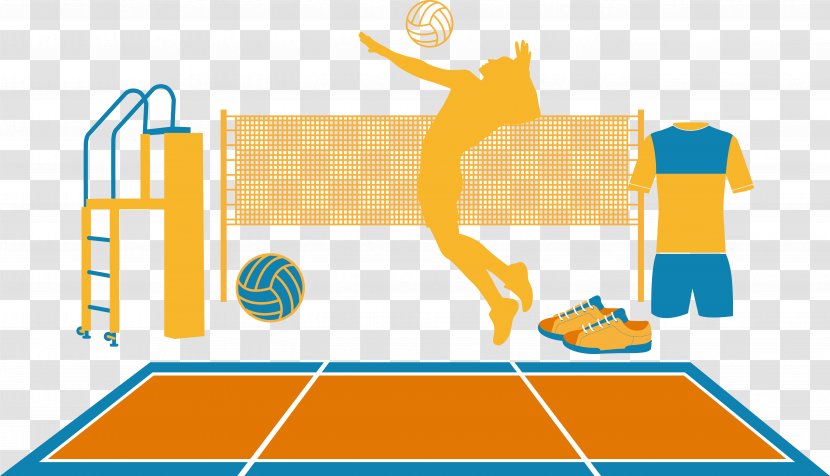 Volleyball Vecteur Euclidean Vector - Diagram - Women's Transparent PNG