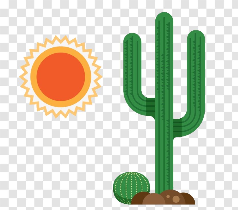 Mexican Cuisine Clip Art Vector Graphics Stock Photography - Cactus Sun Transparent PNG