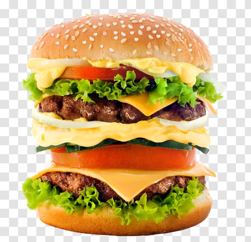 Hamburger McDonald's Big Mac Cheeseburger N' Tasty French Fries - Dish - Burger King Transparent PNG