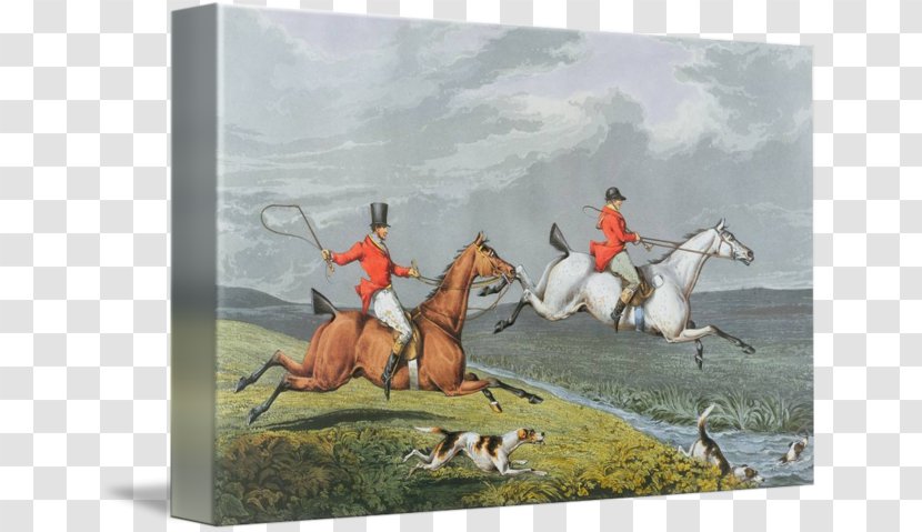 Fox Hunting Dog Painting - Horse Like Mammal Transparent PNG