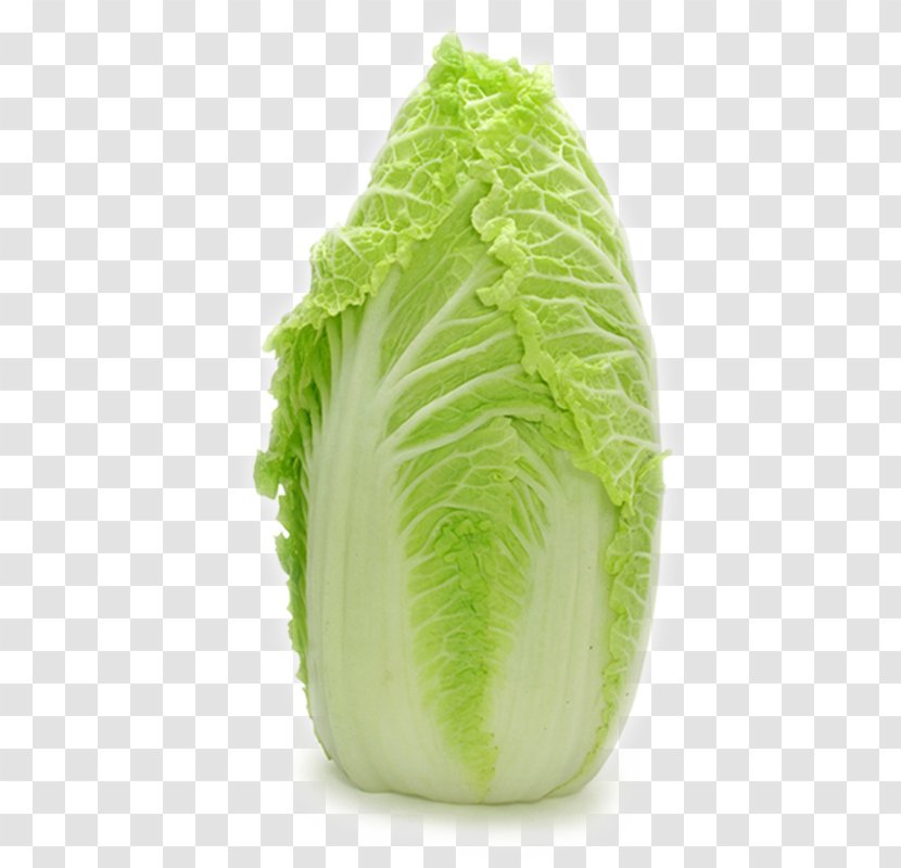 Romaine Lettuce Cabbage Caesar Salad Vegetable - Dish - Vegetables,Chinese Transparent PNG