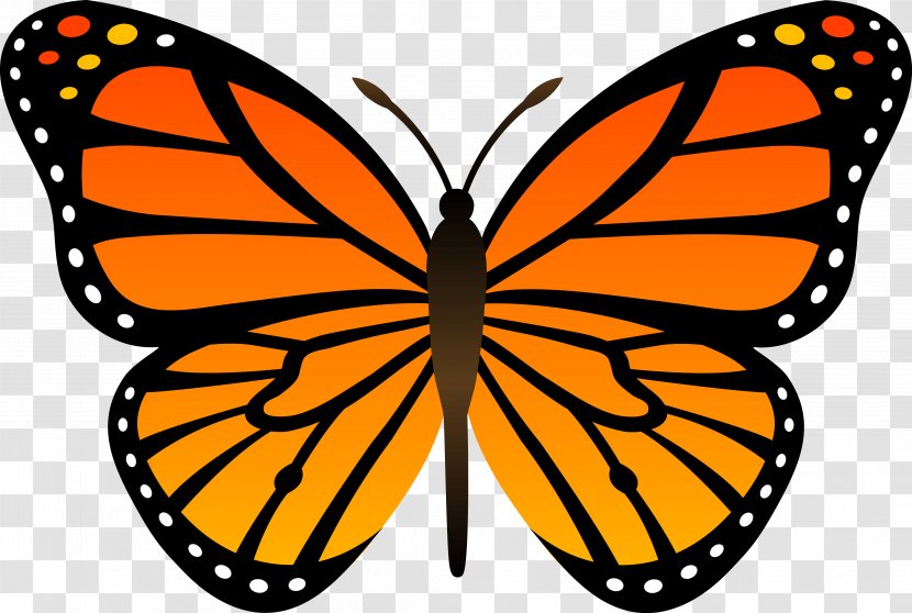 Butterfly Cartoon Clip Art - Monarch - Orange Image Butterflies Download Transparent PNG