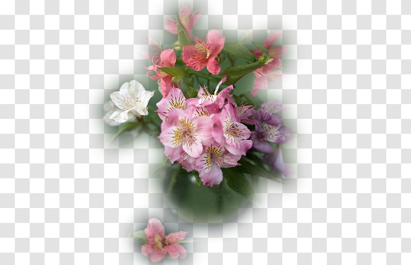 Lily Of The Incas Cut Flowers Floral Design Flower Bouquet Transparent PNG