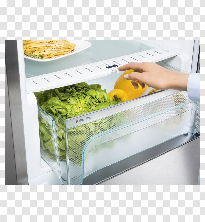 Refrigerator Liebherr Comfort K 3710 Group Kef 4310 - Premiumplus Ecbn 5066 Biofresh Nofrost Transparent PNG