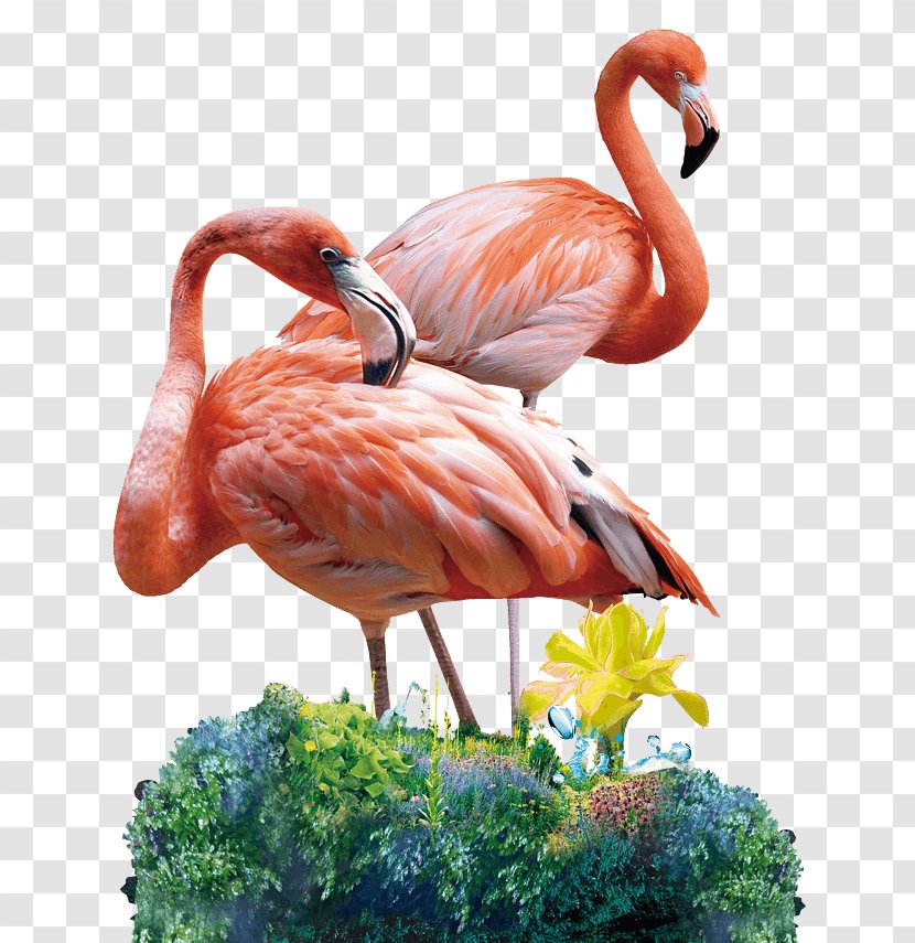 Flamingo Image Painting Online Shopping Art - Oil Transparent PNG