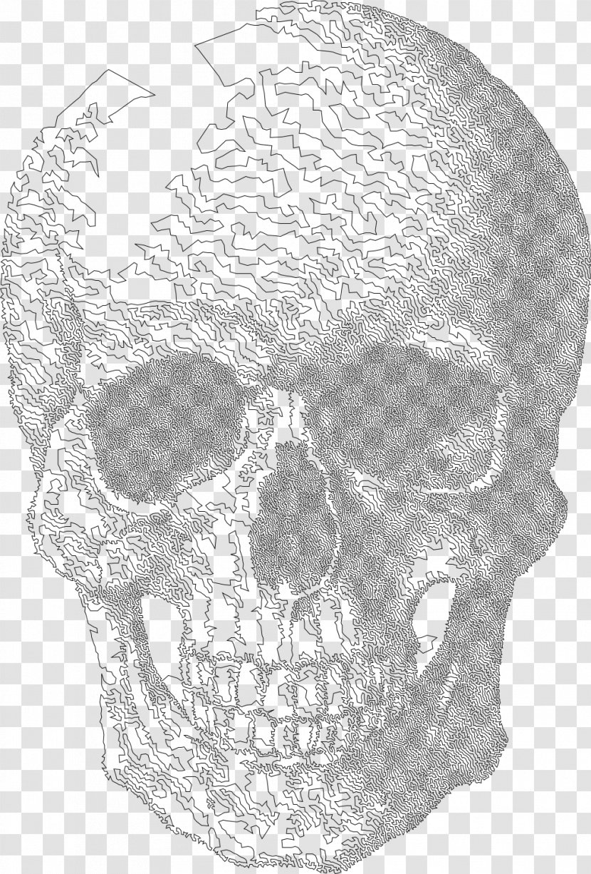 Calavera Drawing Skull Art - Interieur Transparent PNG