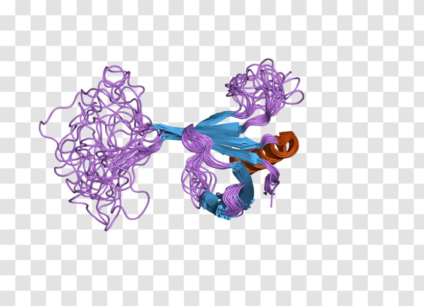 CLNS1A Protein Arginine Methyltransferase 5 Gene - Subunit Transparent PNG