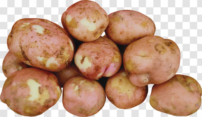 Tiff - Yukon Gold Potato - Tuber Transparent PNG