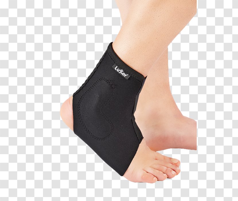 Ankle Silicone Achilles Tendon Foot Calf - Arm Transparent PNG