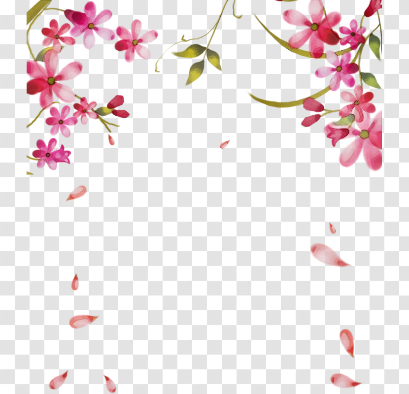 Pink Flower Petal Pedicel Plant Transparent PNG