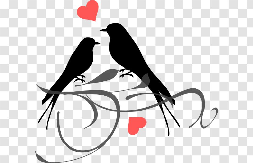 Grey-headed Lovebird Clip Art - Drawing - Bird Transparent PNG